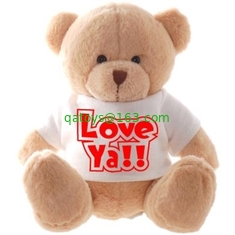 12 Inch White Teddy Bear Holiday Stuffed Toys Embroidery Printing
